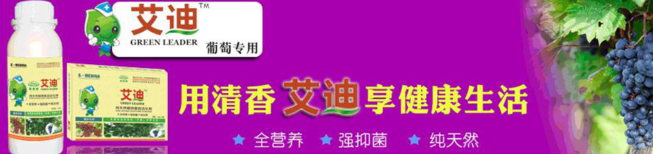 ����(gu��)�����Ǽ��F(tu��n)���Ї�(gu��)�����޹�˾