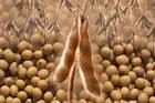 ���u�A��(sh��)�N�����޹�˾