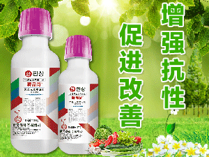 �n���n�ѻ��W(xu��)��ʽ��(hu��)��