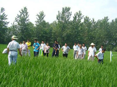 農(nóng)資示范田的重要性和推廣方法.jpg 農(nóng)資示范田的重要性和推廣方法.jpg