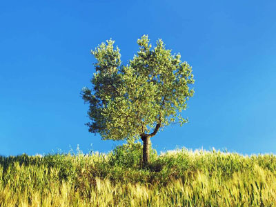 �r(n��ng)�Y�����������ش���D(zhu��n)׃.jpg