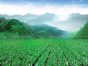 農(nóng)資促銷怎么做才最有效1.jpg 農(nóng)資促銷怎么做才最有效1.jpg
