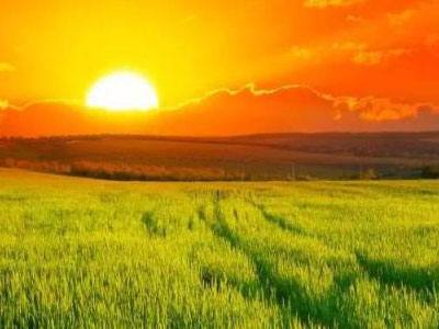 ������߮a(ch��n)Ʒ�N��?.jpg