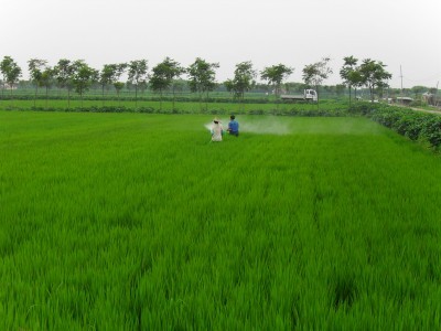 農(nóng)資行業(yè)突破困境的秘ç±?11.jpg 農(nóng)資行業(yè)突破困境的秘ç±?11.jpg