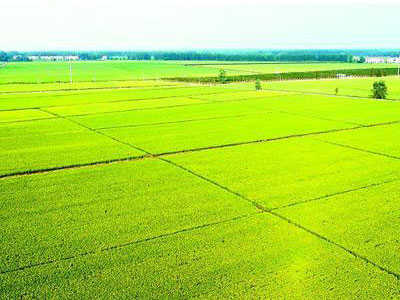 “農(nóng)資電商”生存之根本.jpg “農(nóng)資電商”生存之根本.jpg