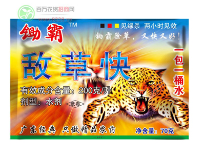 �ܿچ�������gӭ����1.jpg