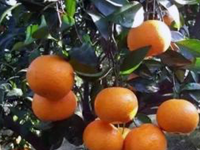 �r(n��ng)�Y��������Γ�ռ�Ј�(ch��ng)��1.jpg
