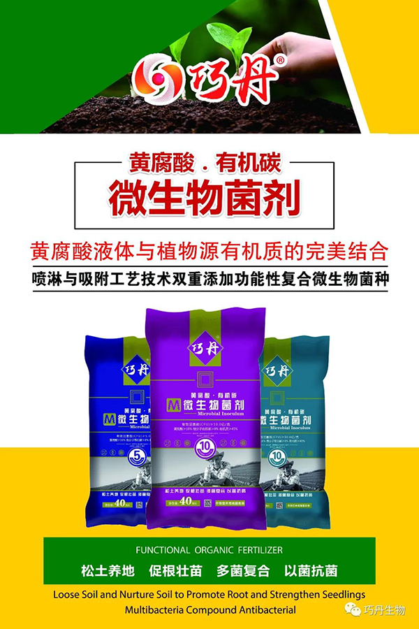 囄���1.png
