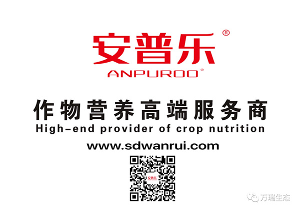 囄���4.jpg