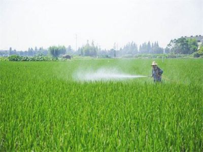 農(nóng)藥代理商怎樣面對(duì)農(nóng)藥新市�?.jpeg 農(nóng)藥代理商怎樣面對(duì)農(nóng)藥新市�?.jpeg