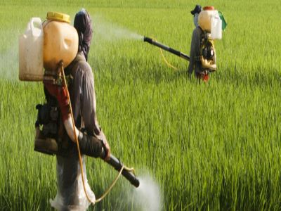 �_���r(n��ng)ˎ���˵����-1.jpeg