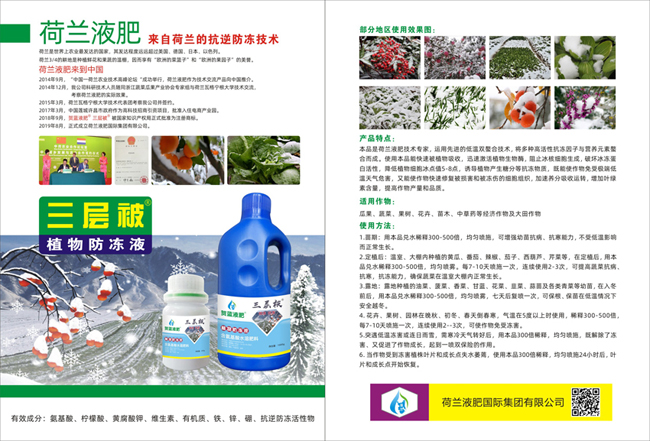 快綠99單頁.jpg 快綠99單頁.jpg