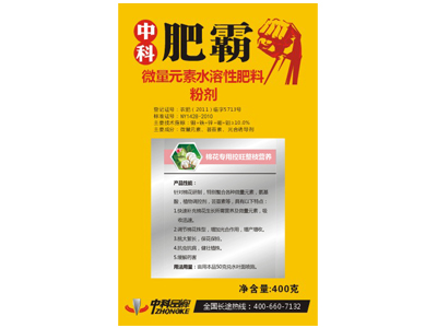 �޻�������֦�I�B(y��ng)