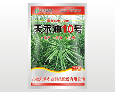 �����10̖
